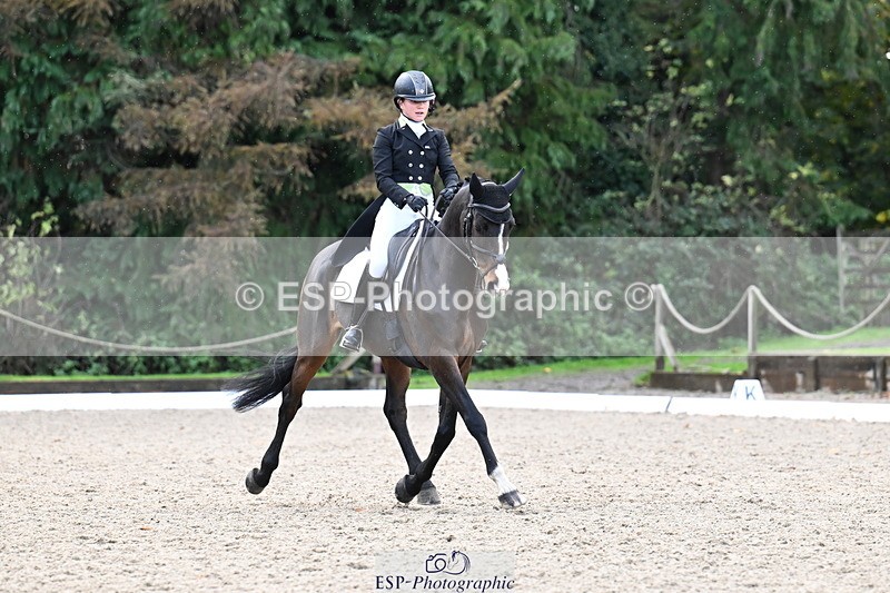 251023A-140235-05438 - B-148-Tarka.Abraham