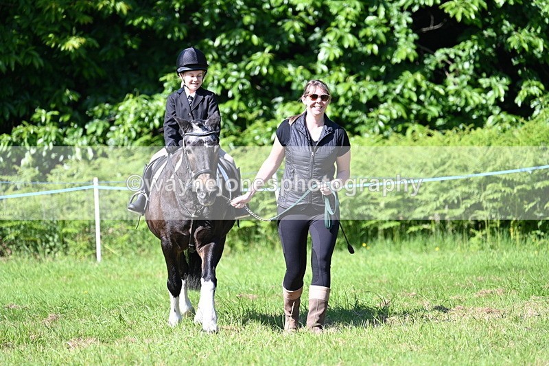 WJ7_0461 - Class 8 First Rally Pony
