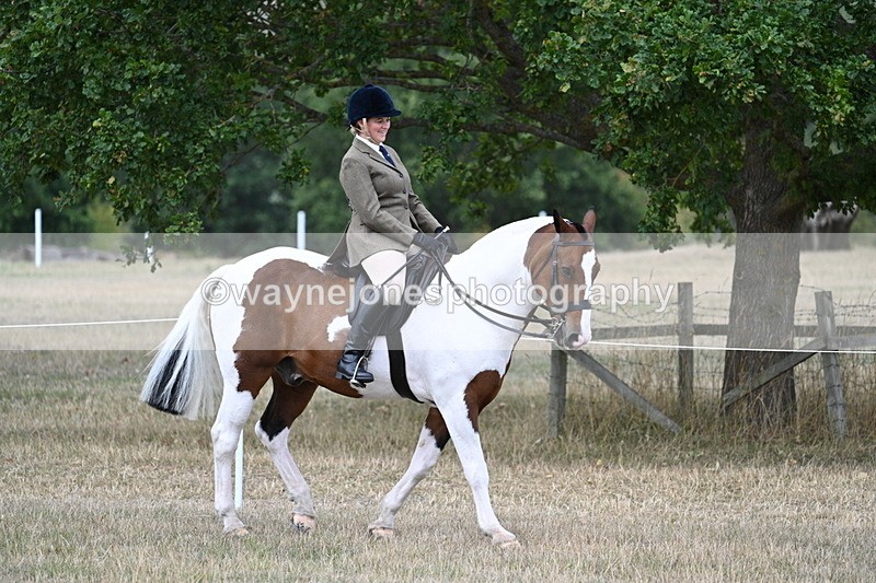 WJ7_5387 - Class 12 Ridden Cob