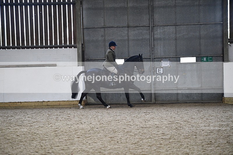 WJ5_7832 - Class 13 Ridden Part Breed