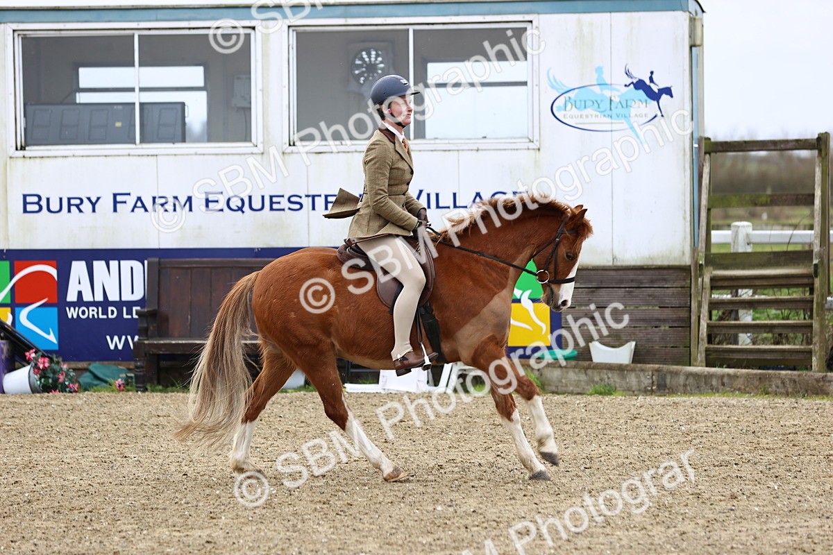 SBM_006753 - Class 29 - 30 - M&M Pure Novice Small-Large Breeds