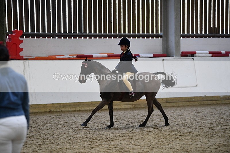WJ5_6963 - Class 10 Childs Pony