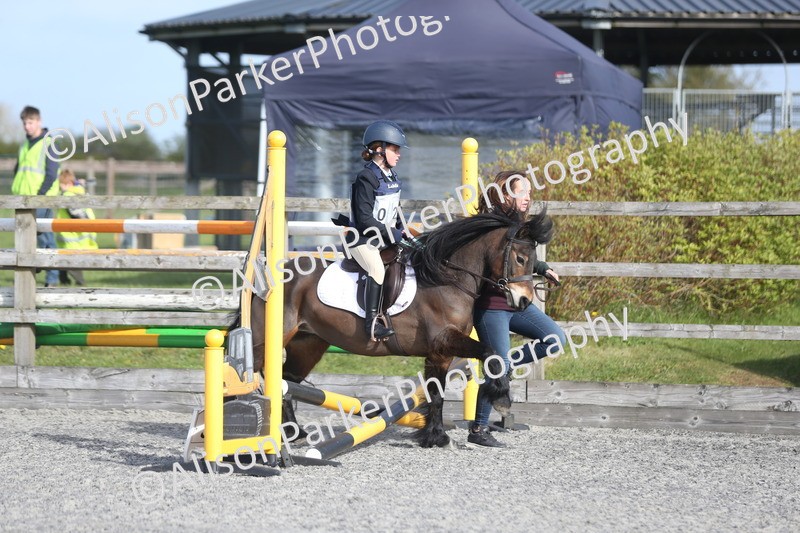 20260412-0052 - Show Jumping