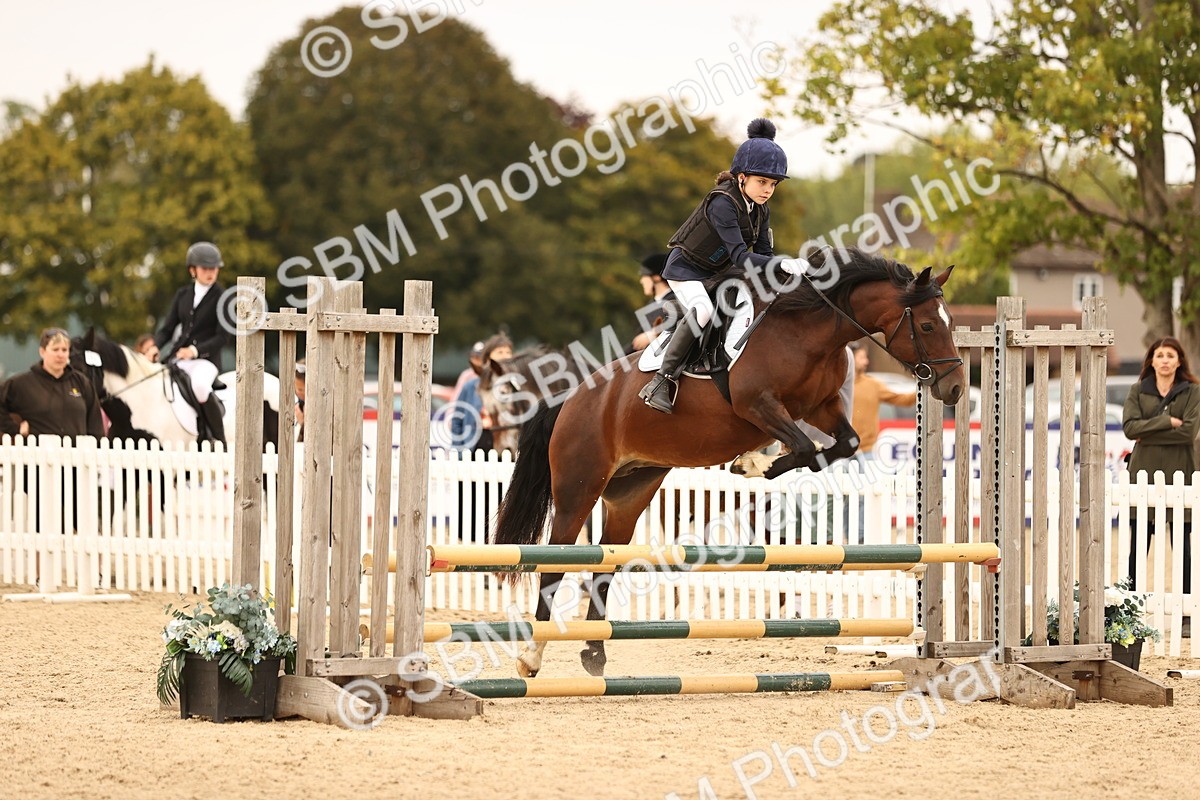 SBM_74247 - J14 - Junior Pony 65cm Championship