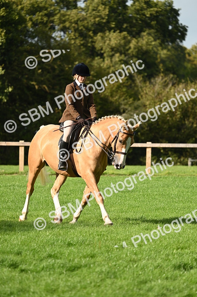 SBM_26412 - S6 - Novice & newcomer Ridden horse