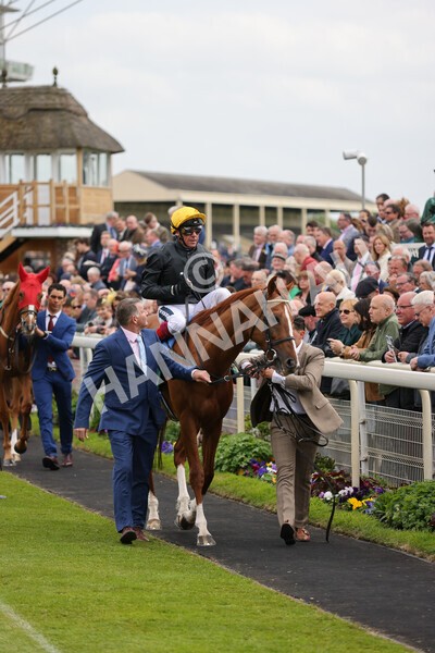 yr13052022r4-23 - Race 4 3.35pm The Paddy Power Yorkshire Cup (British Champions Series Race)