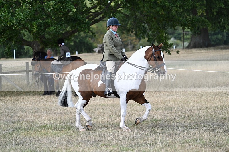 WJ7_6855 - Class 14 Ridden Coloured