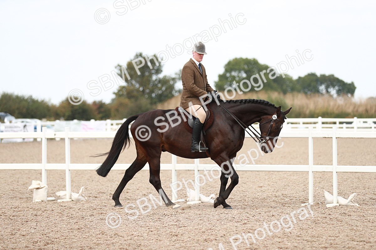 SBM_15474 - Class 213 Ridden Hunter -Large