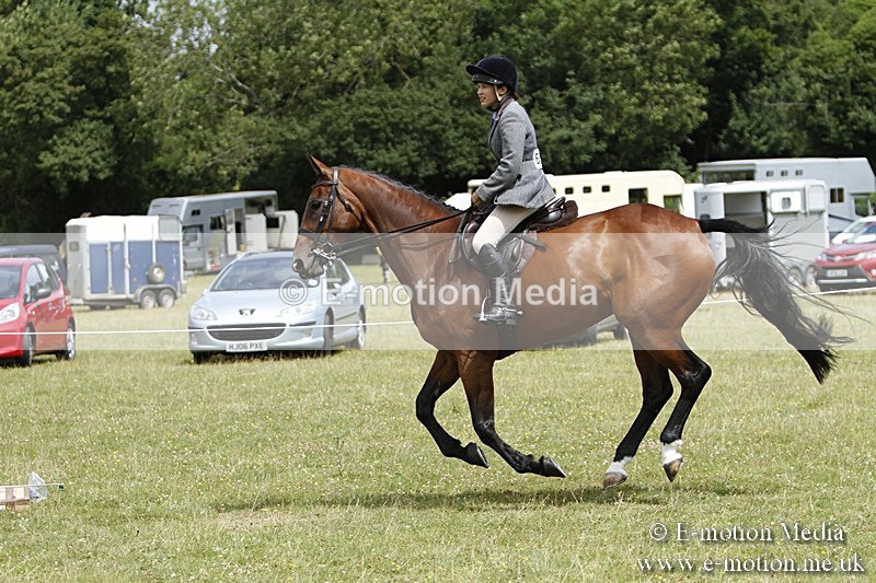 BVR160717-1818 - Ring 3 BVRC Show 16/07/17