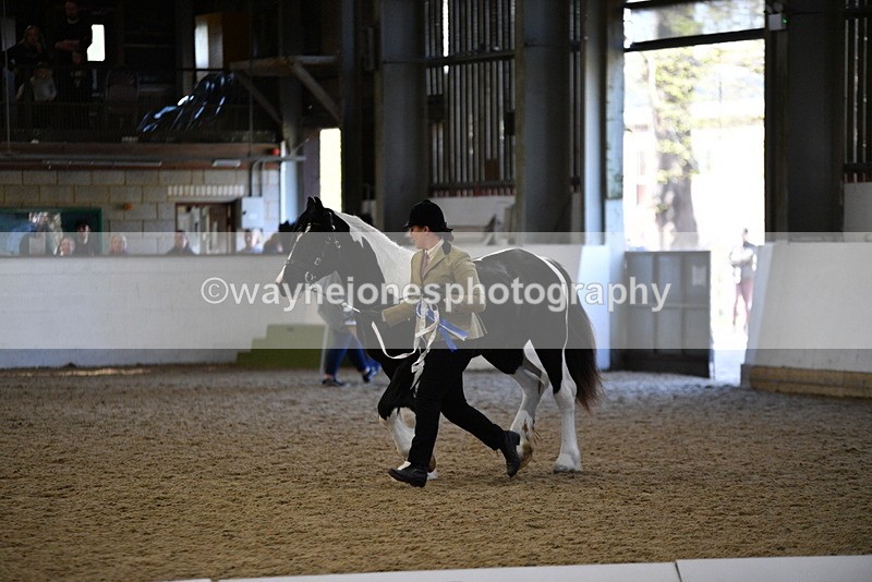 WJ5_3756 - Class 5 In Hand Veterans