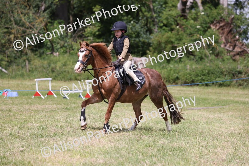 20260614-2004 - Class 21 - Novice Working Hunter Pony