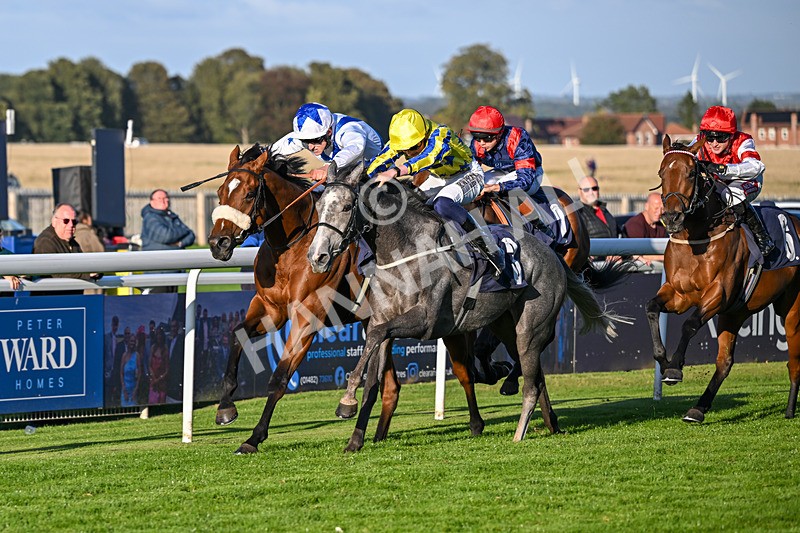 230925-Race 7-Hill O Rue-2459 - Race 7