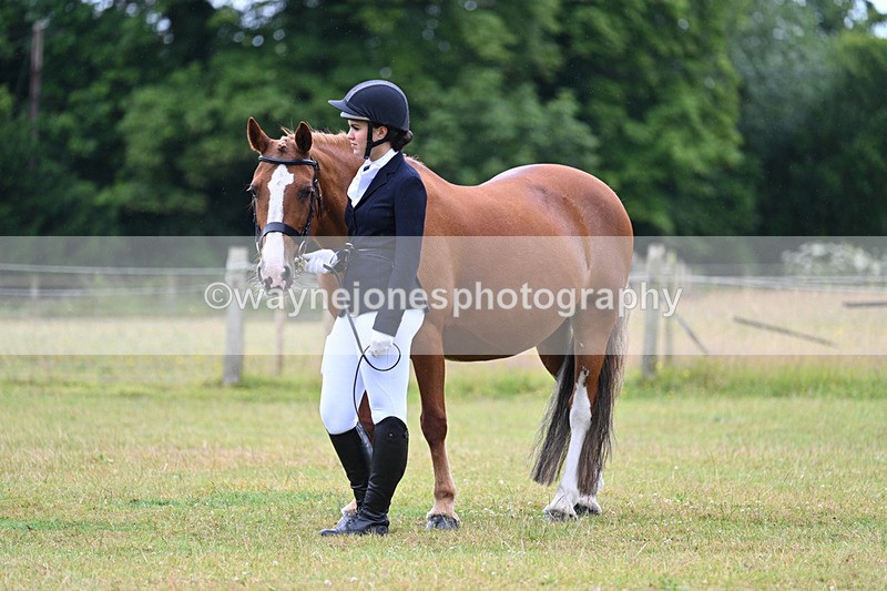 WJ7_6209 - Class 4a Prettiest Mare over 14hh
