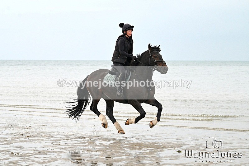 WJ7_9024 - Hayling Island Beach Shoot 22-09-24