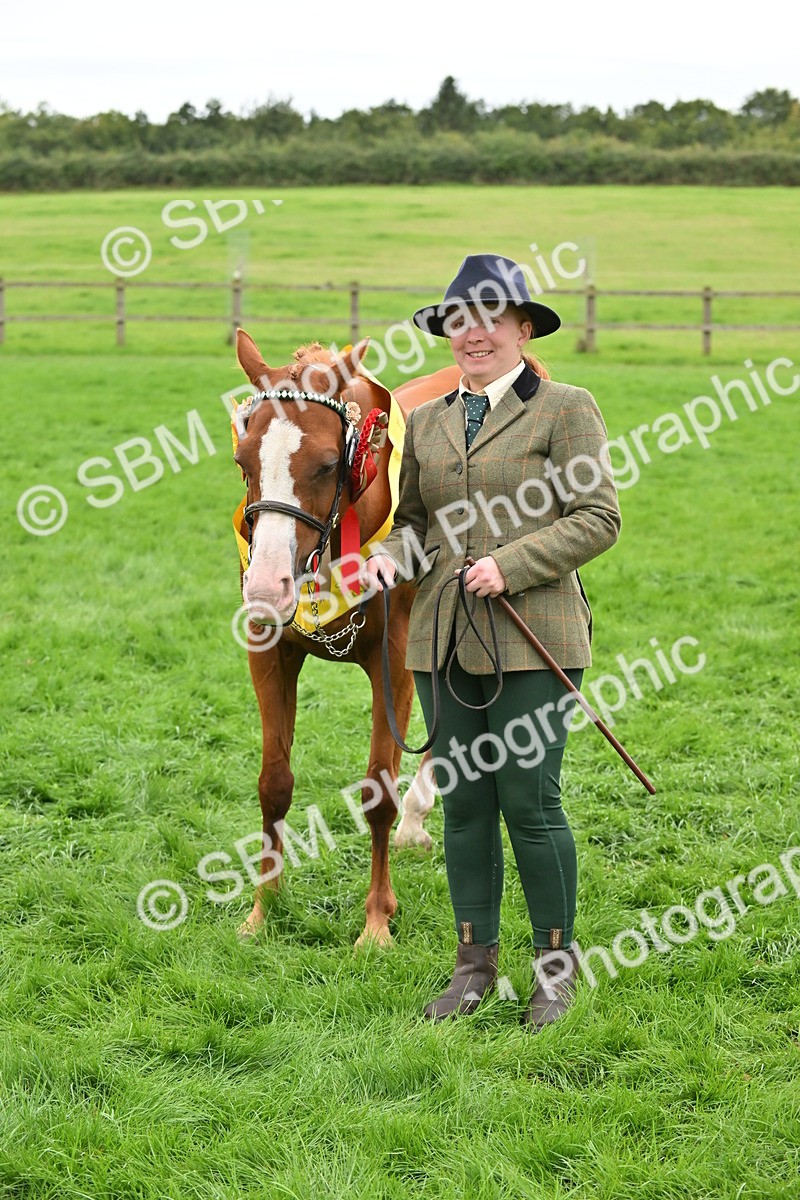 SBM_65049 - In Hand Pony & Younstock Supreme Championship