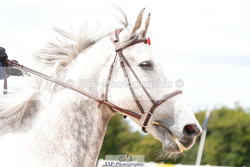 250802-123845-09879 - Cls 21 85cm Amateur Championship Qualifier