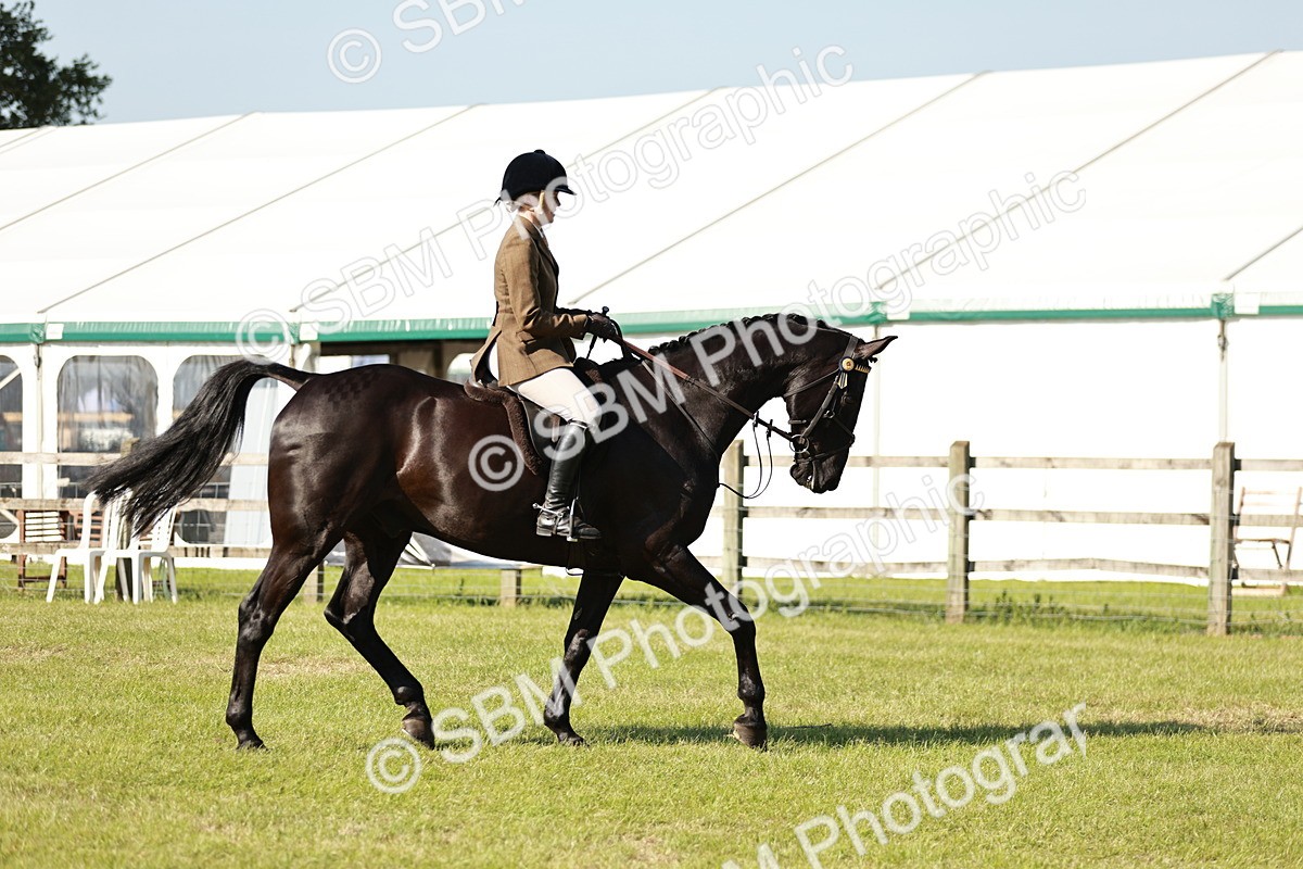 SBM_19214 - Class 115-116 - LIHS BSHA Rising Star Working Hunter & Show Horse