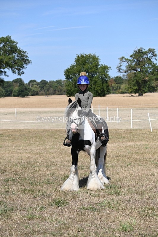 WJ6_9051 - Class 38 Ridden Riding Horse/Pony