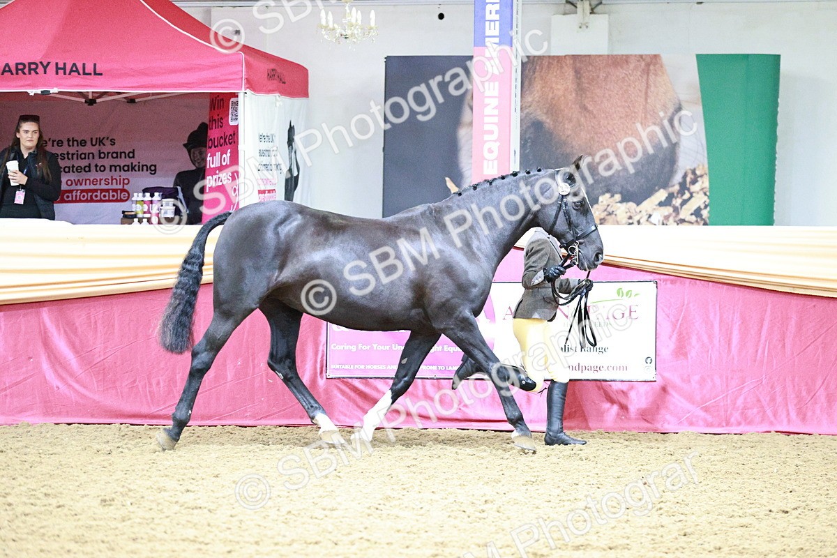 SBM_00151 - Class 1A - Area IH Diamond