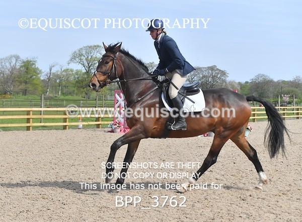 BPP_3762 - CLASS 3 Senior British Novice/ 90cm Open