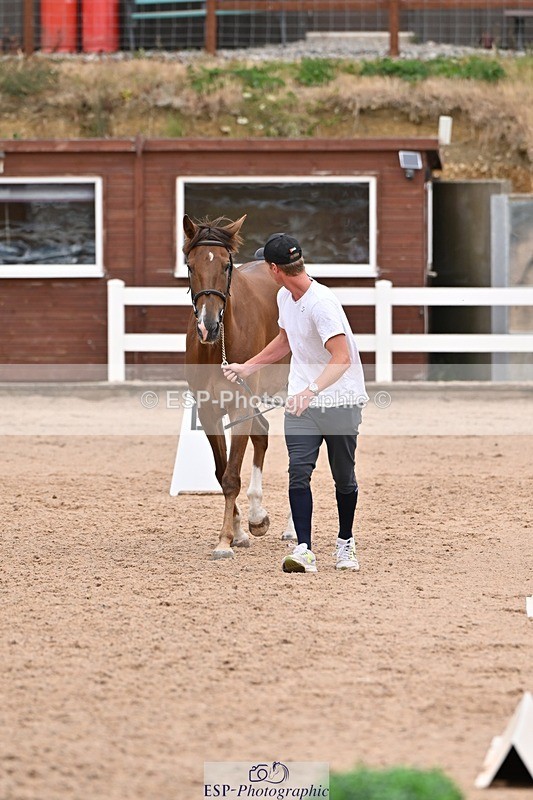 250716-143254-01191 - Trot Up 2.30 to 3.30