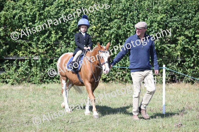 20250831-3147 - Class 24 - Absolute Beginners Pony