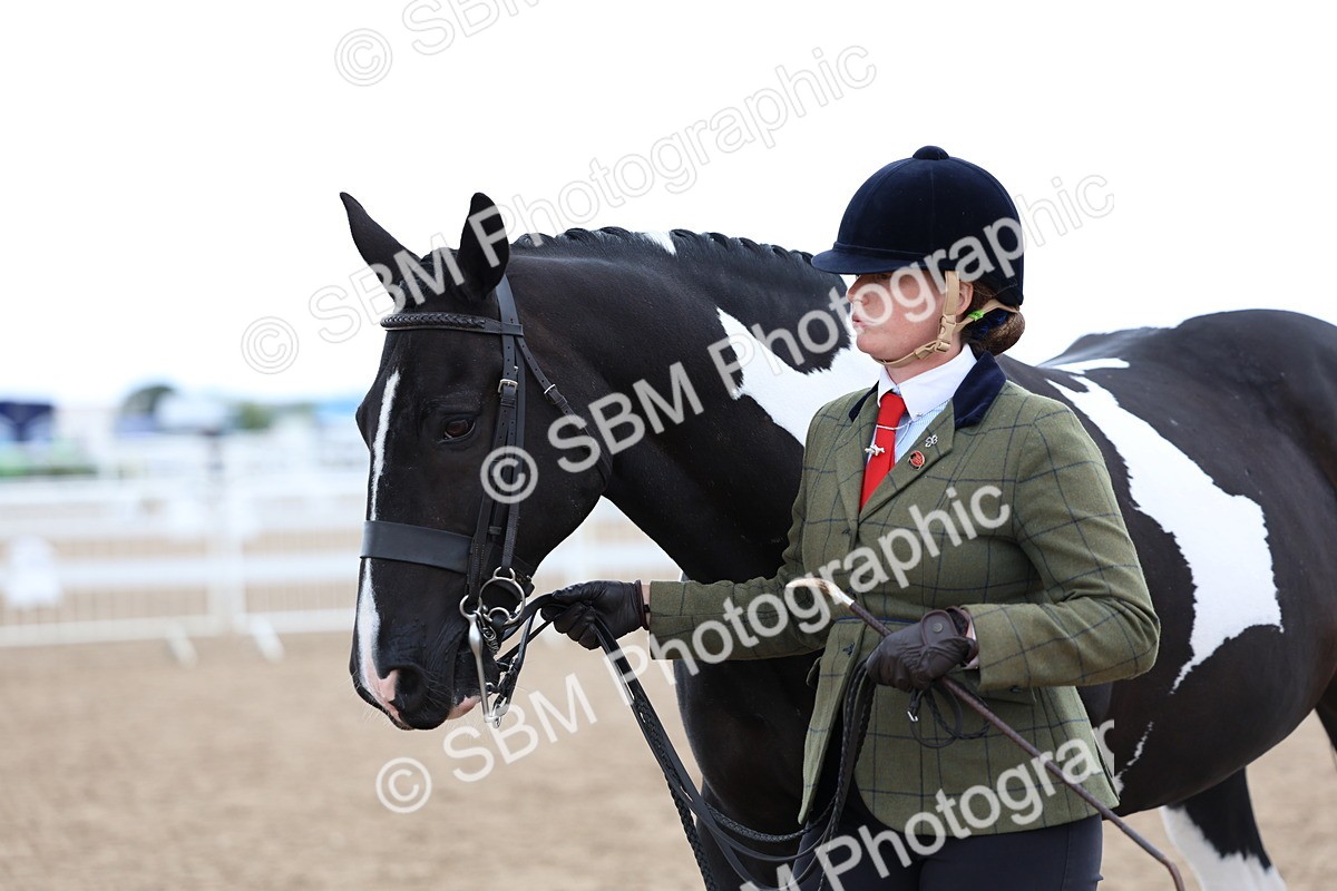 SBM_05129 - Class 27 - IH Competition Horse or Pony