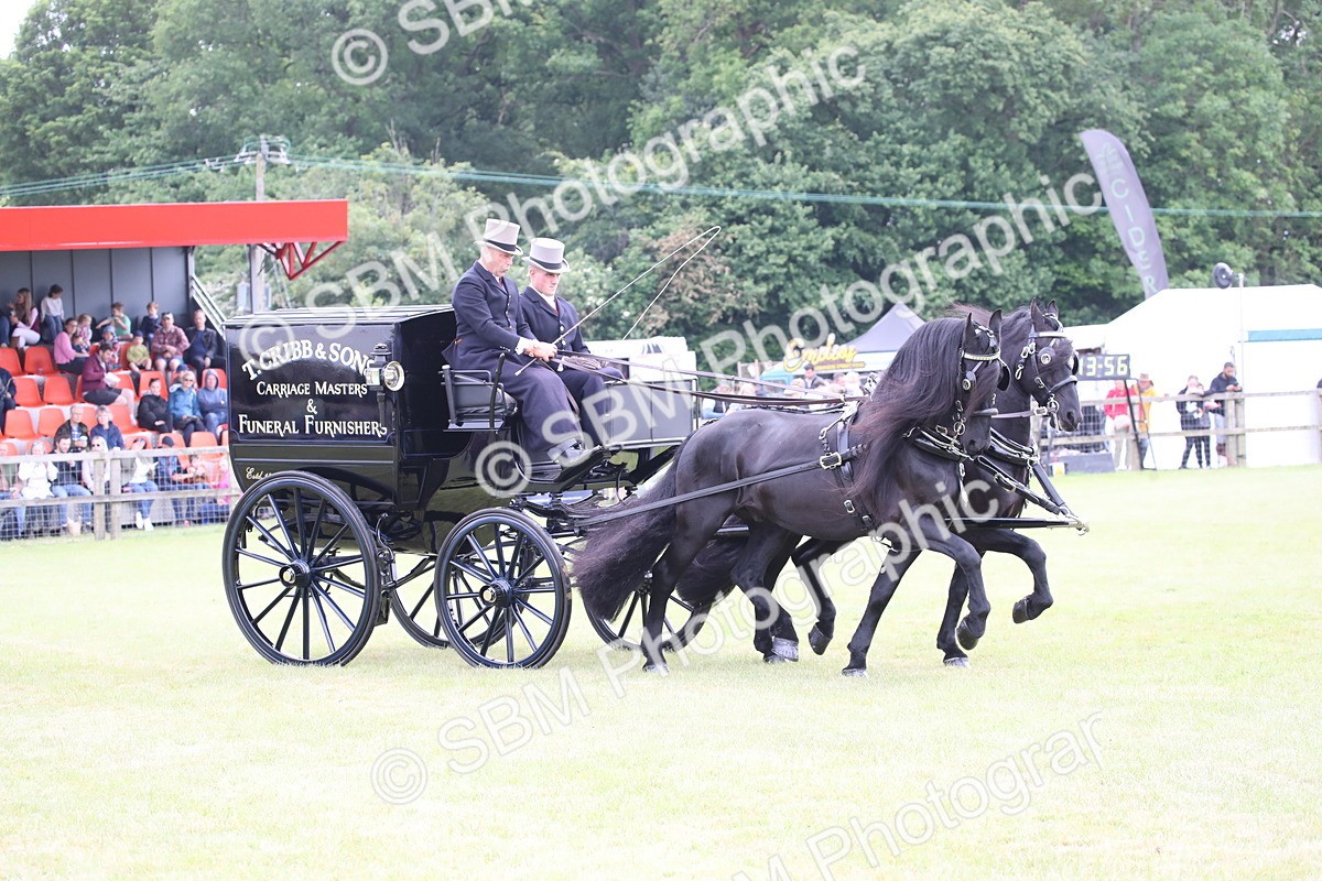 SBM_07035 - Class 16 - Light Trade