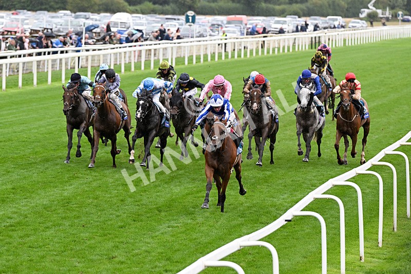 200826-Race 3-The Lost King-0422 - Race 3 15.00pm Sir Kevin Sinfield 7 In 7 Grand Finale Handicap