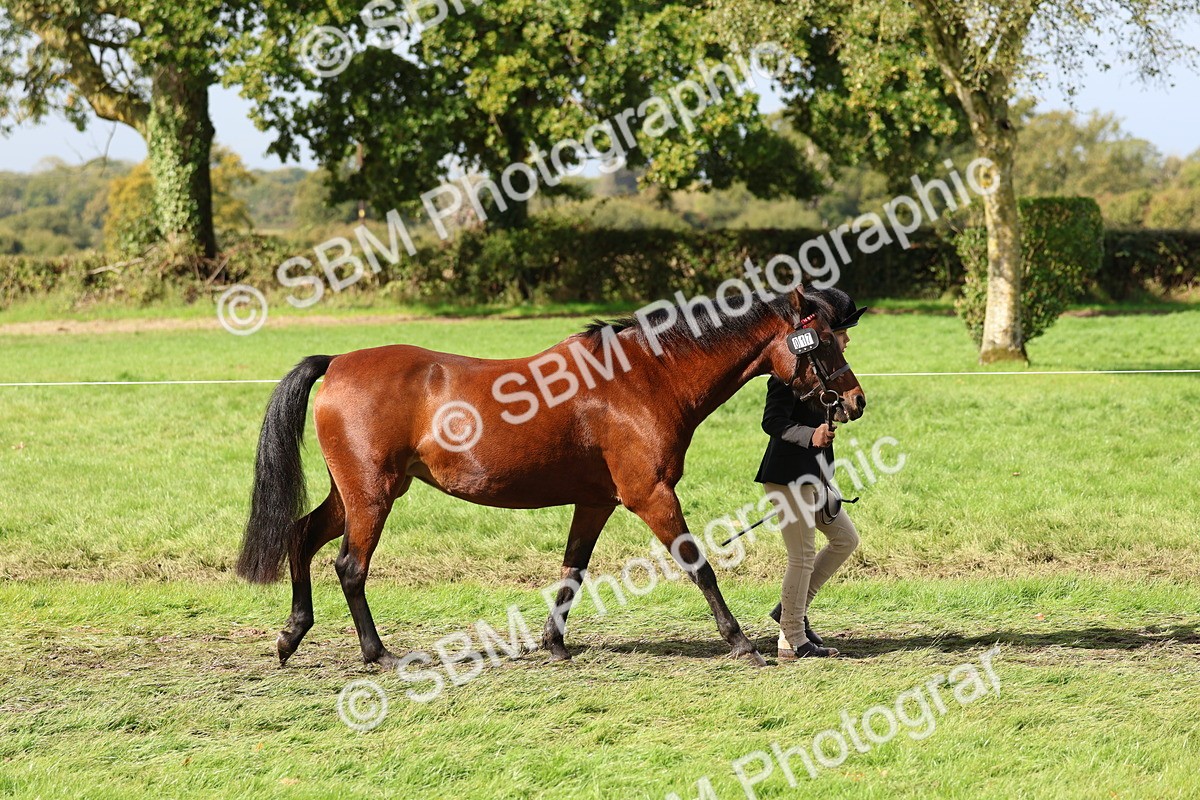 SBM_39414 - S24 - Young Veteran In Hand