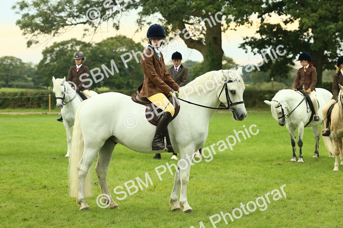 SBM_72166 - S60 - Mountain & Moorland Ridden Large Breeds