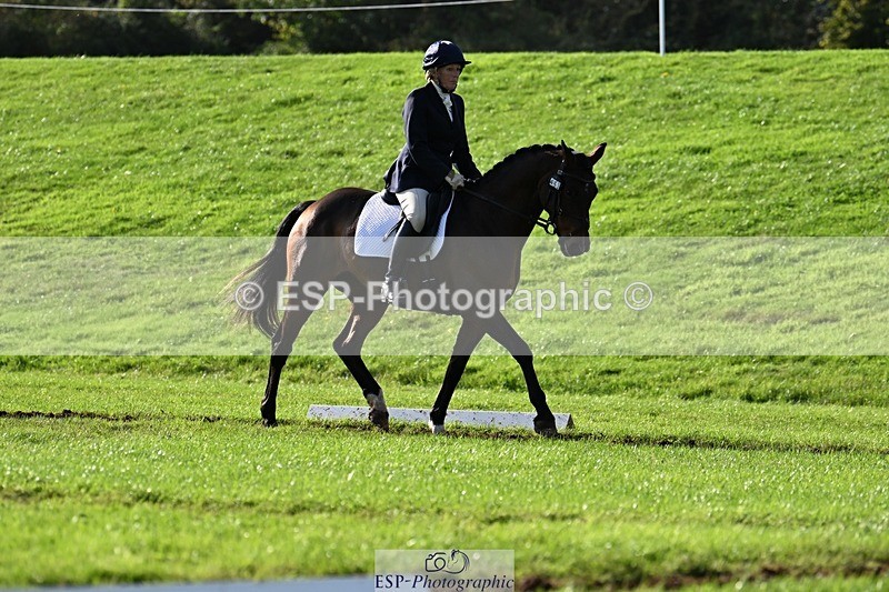 241025-142733-10021 - 453-Caroline.Davies-HAPPY.H