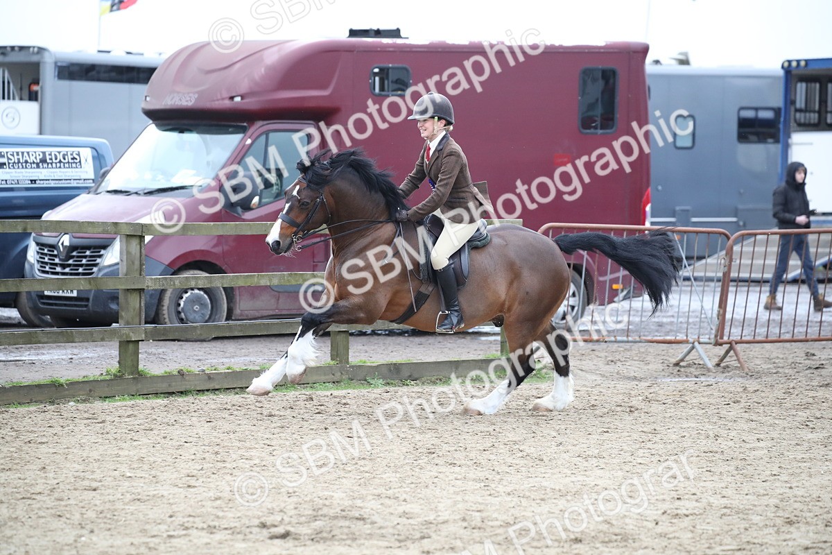 SBM_007101 - Class 10-13 - RIHS Small Large Breeds