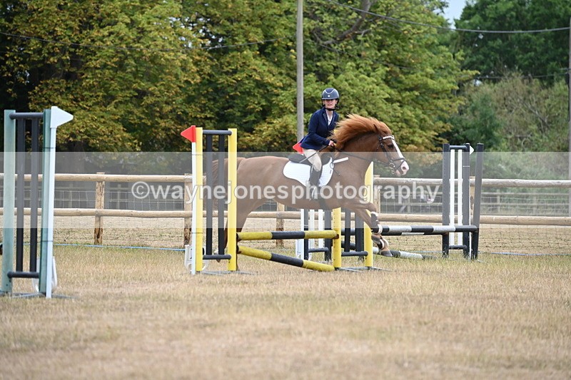 WJ6_0220 - Class 13 Novice Jumping 60cm