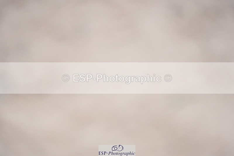 230924A-102446-04913 - 100 SJ Start to 11.00