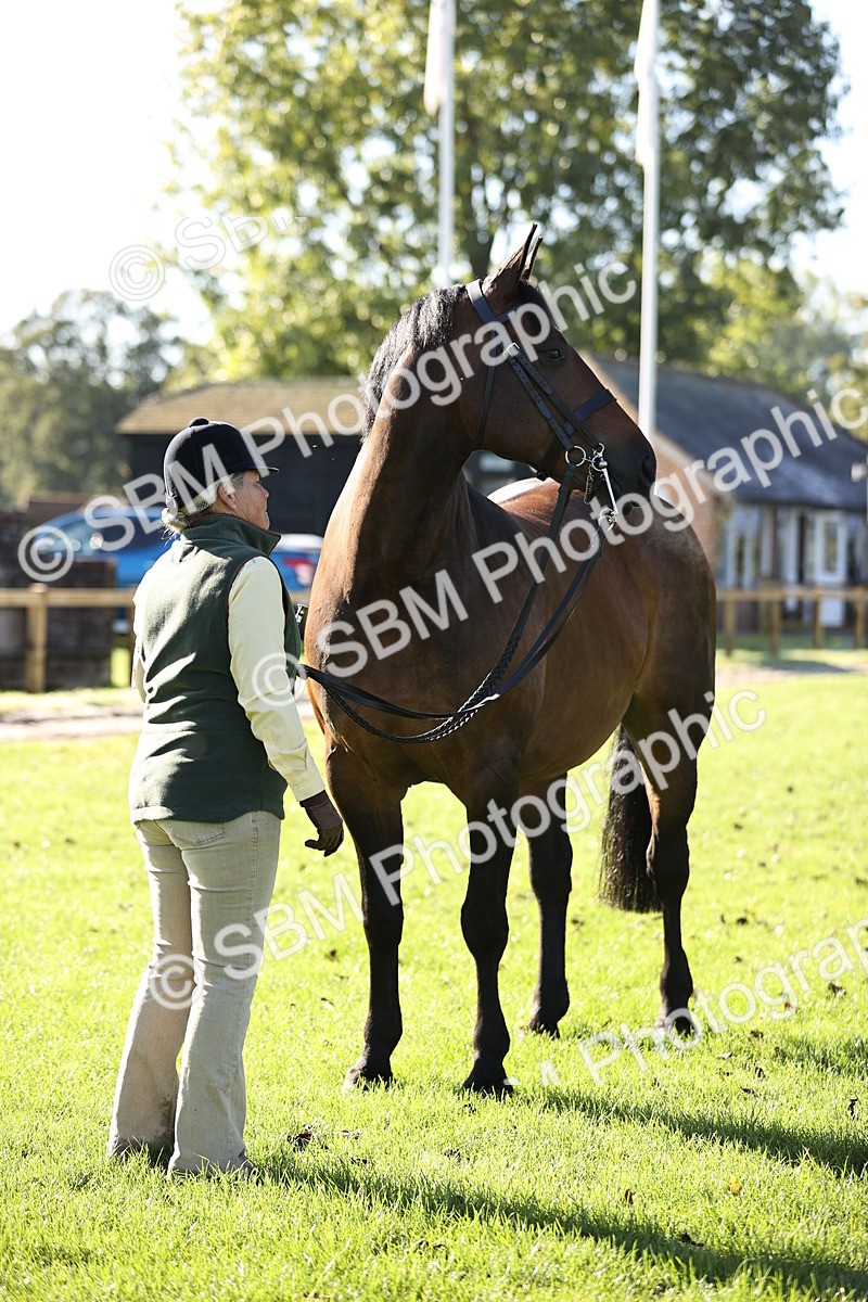 SBM_15776 - S1 - TSR in Hand Horse & Pony Showing