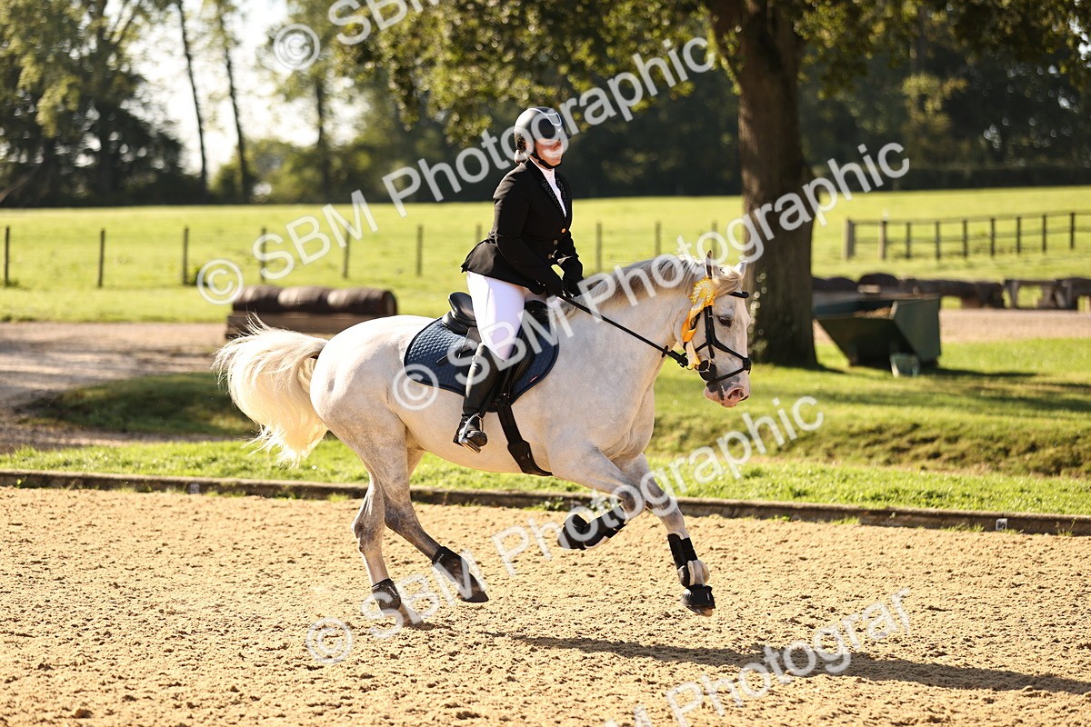 SBM_35240 - J38 - Senior 80cm Championship