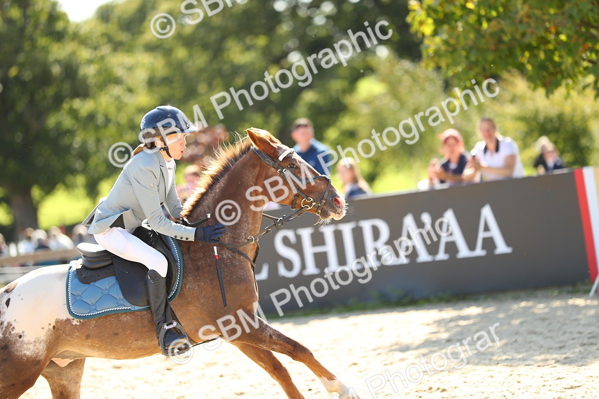 SBM_24339 - J45 - Accumulator 70 80cm