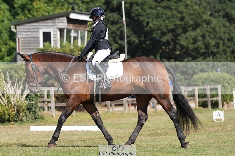 250823A-110309-28164 - Arena A