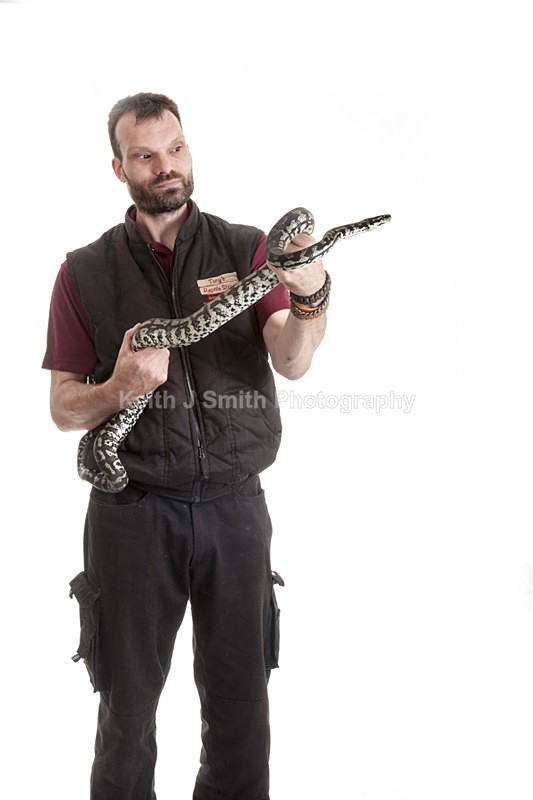 2SKJ8768 - Roaming Reptile Show. II