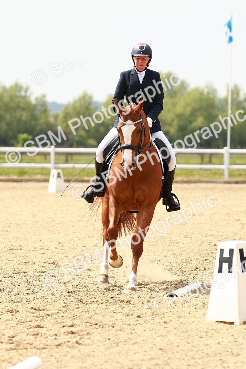 SBM_002889 - Class 12 - Medium 4