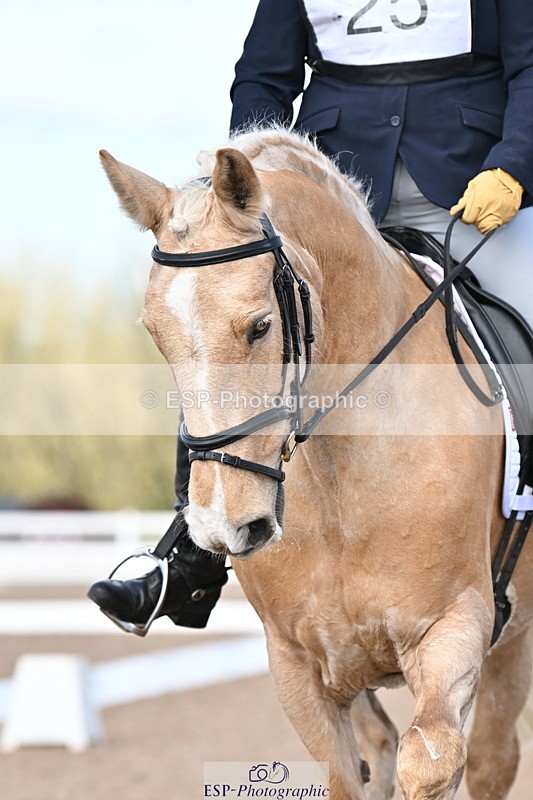 240324A-133657-03440 - Novice 28, 13.00 to 14.00