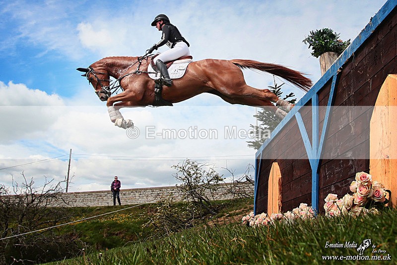 BEXCRM 160526 1938a - Equestrian