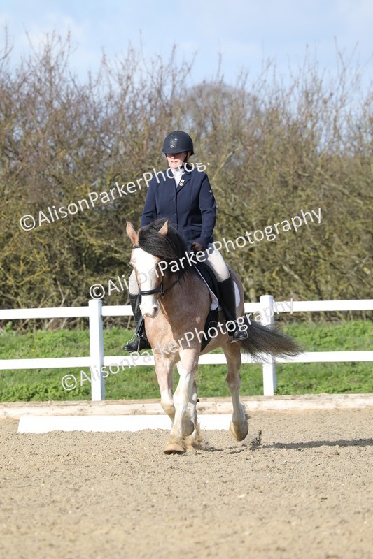 20260314-4983 - CT6 - Elementary 1