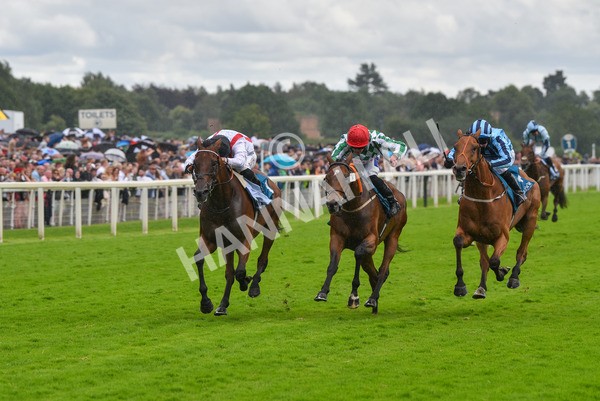 150723-Race 4-Hamish-8705 - Race 4 3.45pm John Smith's Silver Cup Stakes