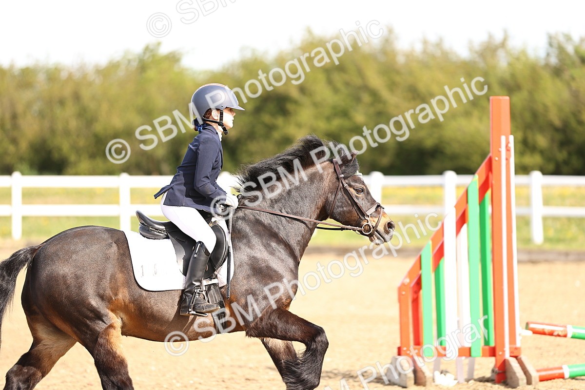 SBM_000085 - 50cm
