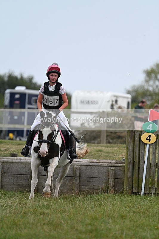 WJ7_8499 - 80cm XC Time 15:45 to 16:02