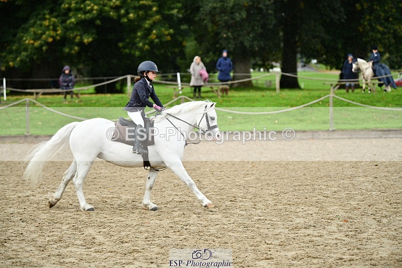 251004A-110700-00541 - Classes 4 & 5 50cm