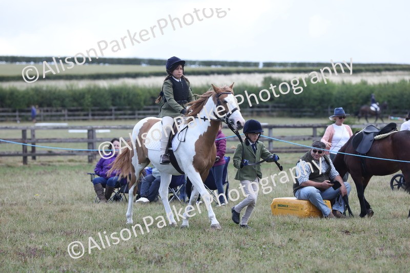 20250831-2401 - Class 16 - Family Pony