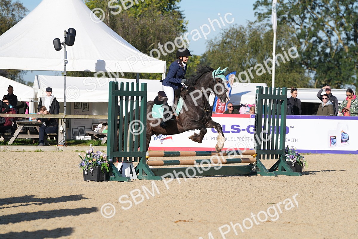 SBM_34455 - J62 - Clear Round 50cm